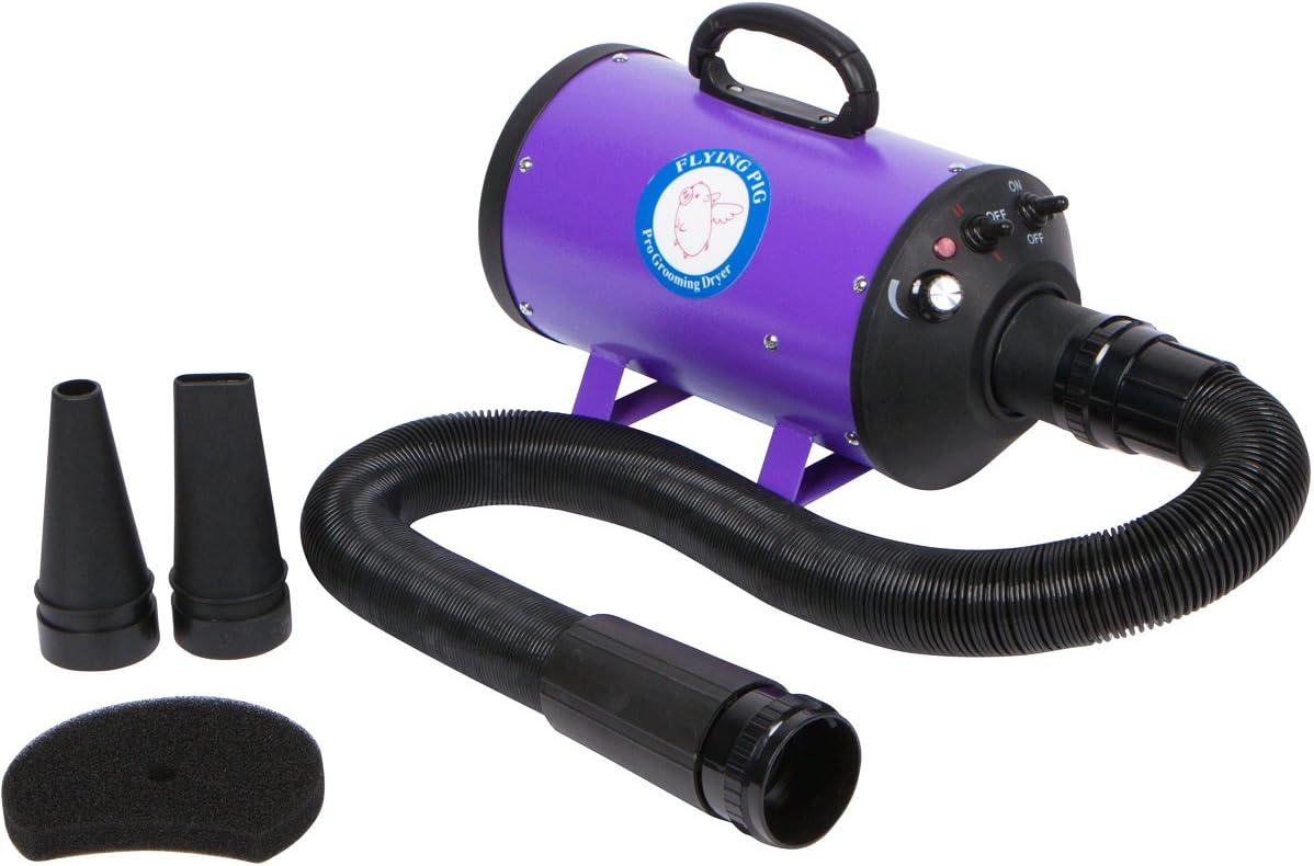 Flying Pig Flying One Dog Grooming Dryer — Purple