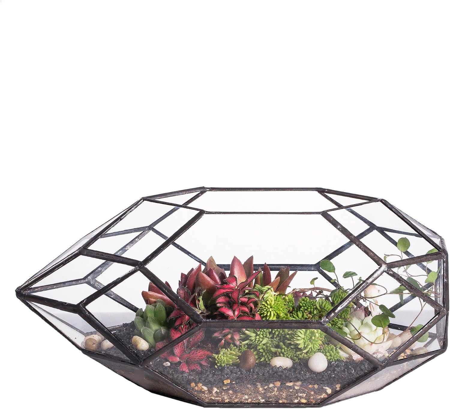 NCYP Geometric Glass Terrarium — 6.5 × 5.9 × 11 Inches