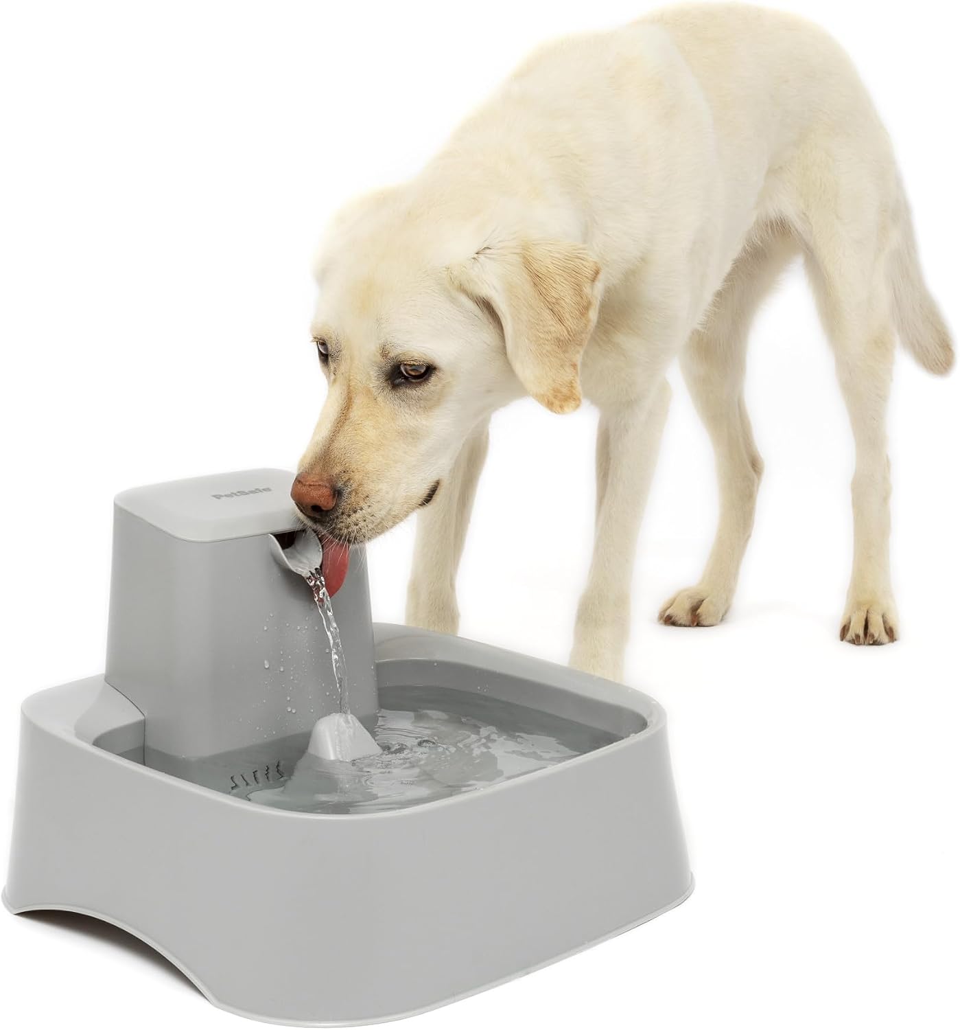 PetSafe Oasys Pet Fountain — 2 Gallon
